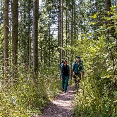 Pfad nahe Rechenfelsen, Chantal Buri