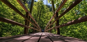 Br�cke in der Wutachschlucht